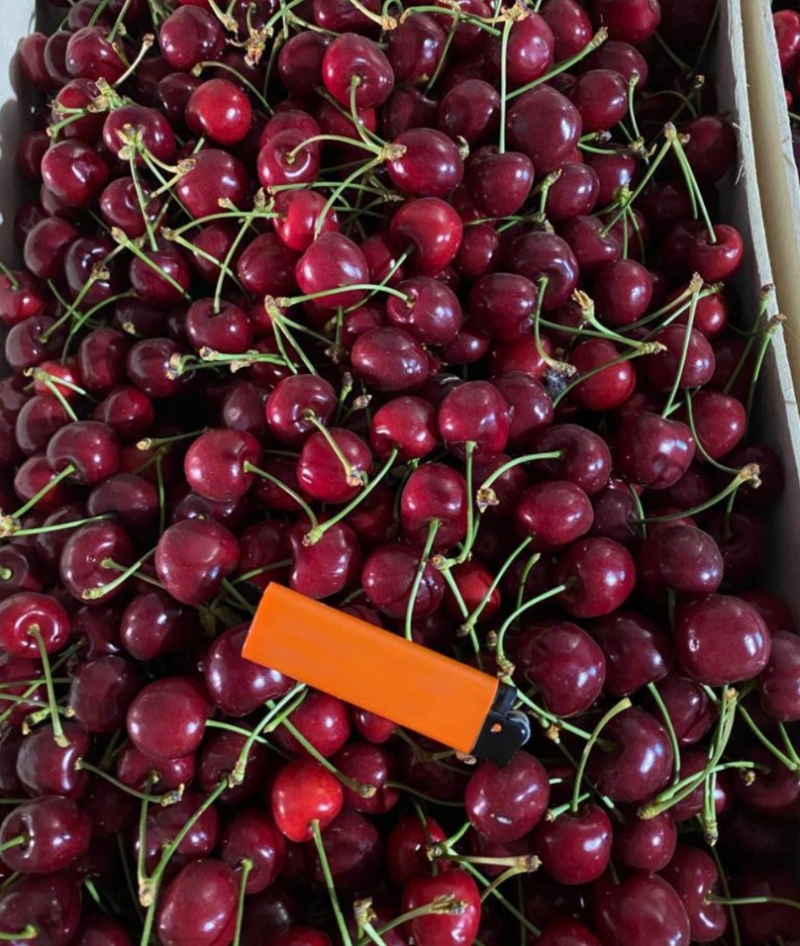 Продам ЧЕРЕШНЮ оптом 26