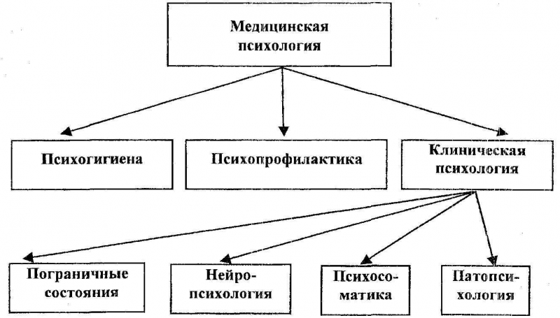 Клинические направления подготовки медицинская психология, обучение
