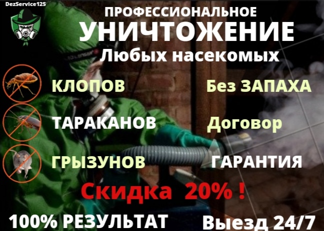 Дезинсекция Дезинсекция, травля Клопов,Тараканов, Блох,потравить Без Запаха 247