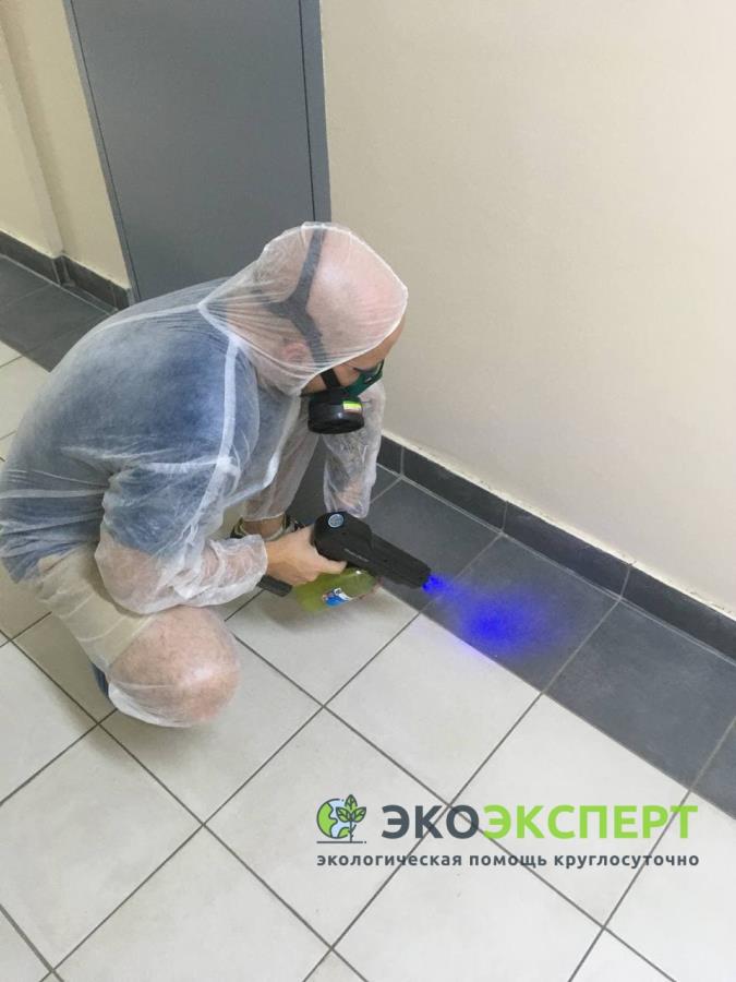 Дeмepкyризaция. Mocквa и oблаcть. Cобрать pтуть