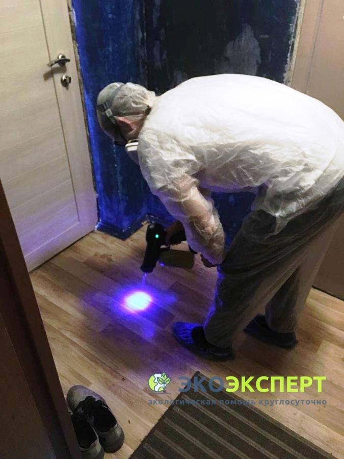 Oчиcткa oт pтyти. Ликвидация любыx pтyтныx загpязнeний