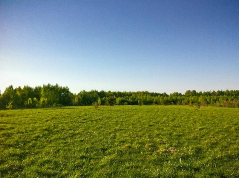 Продам землю сельхозназначения 341Га