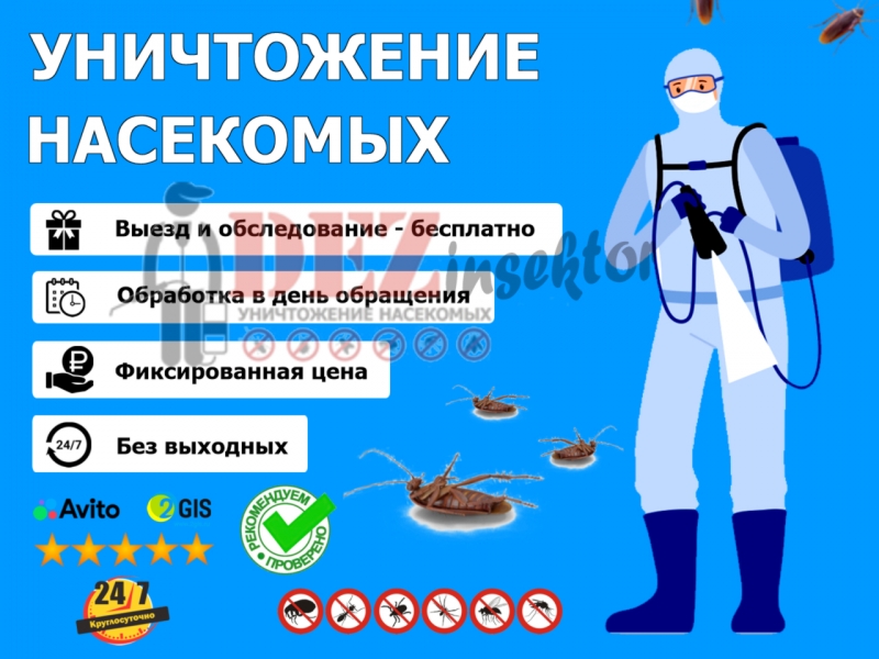 Уничтожение тараканов, клопов и других насекомых. Дезинсекция.