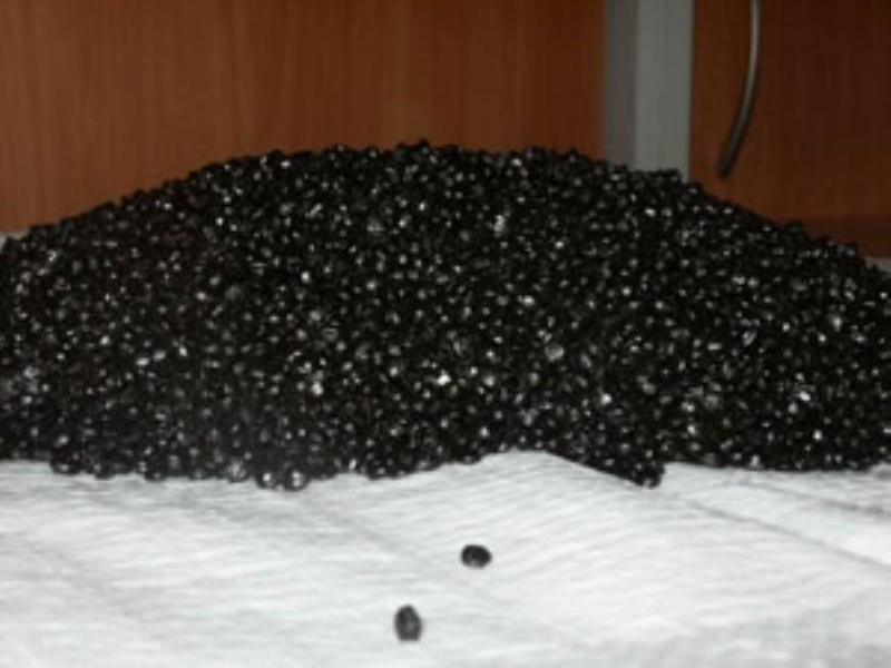 Pe epoacoc PT-