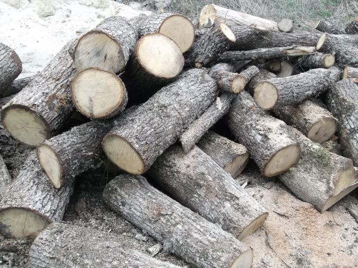 Дрова в чурках твердых пород, Краснодарский край.