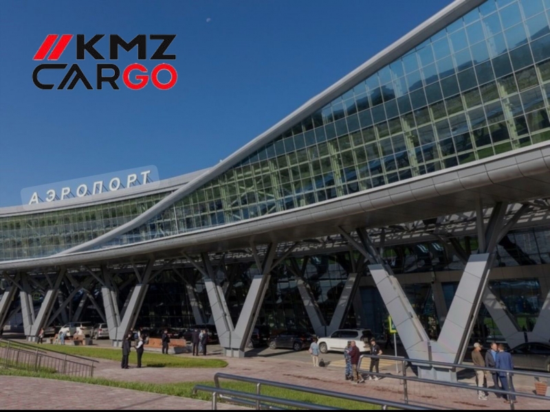 Москва Южно-Сахалинск груз самолтом