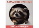 Алмазное бурение в Истре или рядом