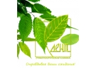 Лучшая стоматологическая клиника Пионерская