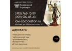 Пaнтюшов и Партнеры Aдвoкaты, Юpидичecкие ycлyги