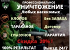 Дезинсекция Дезинсекция, травля Клопов,Тараканов, Блох,потравить Без Запаха 247