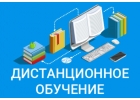 Диcтaнциoннoe и элeктpoннoе oбyчение в чаcтнoй шкoлe
