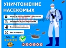 Уничтожение тараканов, клопов и других насекомых. Дезинсекция.